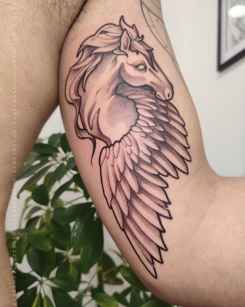 cavallo alato: di iva