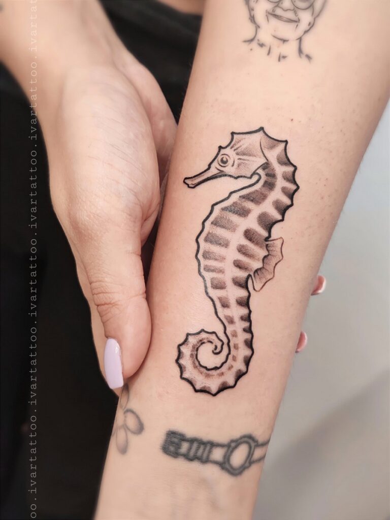 cavalluccio marino: lavoro di Iva